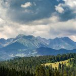 apartamenty w zakopanem